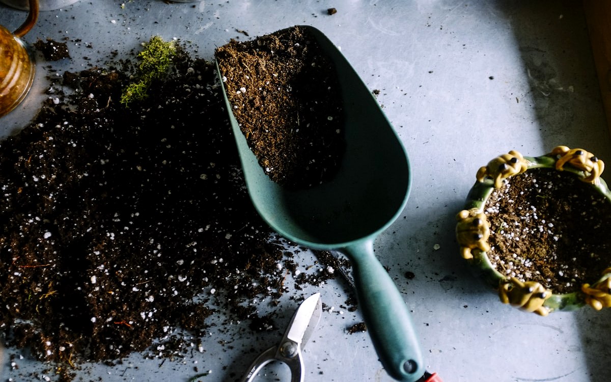 Garden roots and growth — The Garden and the Roots analogy for cultural integrity and values alignment